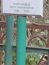Захоронение ID 1272153