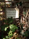 Захоронение ID 1272206