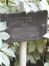 Захоронение ID 1272263