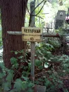 Захоронение ID 1272351