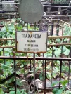 Захоронение ID 1272510