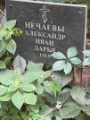 Захоронение ID 1272884