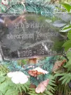 Захоронение ID 1272899