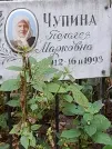 Захоронение ID 1272962