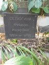 Захоронение ID 1273293