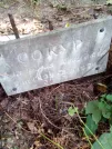 Захоронение ID 1273323