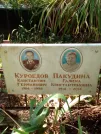 Захоронение ID 1273454
