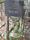 Захоронение ID 1273479
