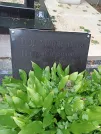 Захоронение ID 1273630