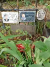 Захоронение ID 1273721