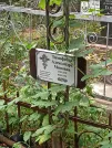 Захоронение ID 1273829
