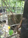 Захоронение ID 1273970