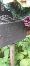 Захоронение ID 1274018