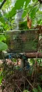 Захоронение ID 1274034