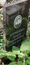 Захоронение ID 1274174