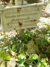 Захоронение ID 1274232