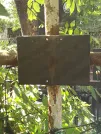 Захоронение ID 1274245