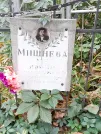 Захоронение ID 1274333