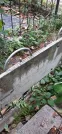 Захоронение ID 1274506