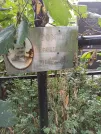 Захоронение ID 1274580