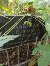 Захоронение ID 1274596