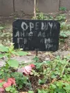 Захоронение ID 1274826
