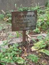 Захоронение ID 1274827