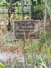 Захоронение ID 1274926