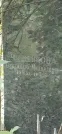 Захоронение ID 1275029