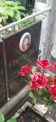 Захоронение ID 1275076