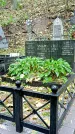 Захоронение ID 1275177