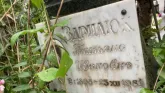 Захоронение ID 1275226