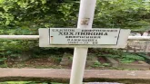 Захоронение ID 1275247