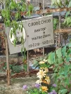 Захоронение ID 1275293