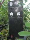 Захоронение ID 1275310