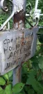 Захоронение ID 1275342