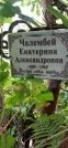 Захоронение ID 1275405