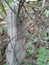 Захоронение ID 1275463