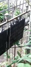 Захоронение ID 1275594