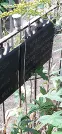 Захоронение ID 1275596