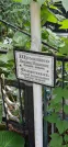Захоронение ID 1275707