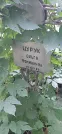 Захоронение ID 1275730