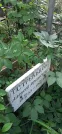 Захоронение ID 1275739