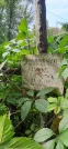 Захоронение ID 1275873