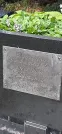 Захоронение ID 1275875