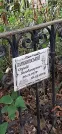 Захоронение ID 1275899