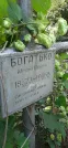Захоронение ID 1275974