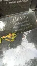 Захоронение ID 1276007