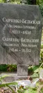 Захоронение ID 1276029