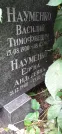 Захоронение ID 1276057